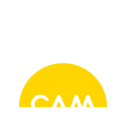 CAM Raleigh Sticker