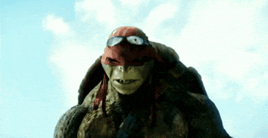 Teenage Mutant Ninja Turtles GIF