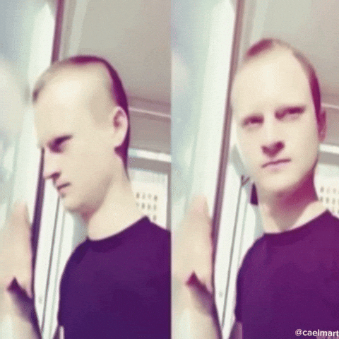 Diddybop What GIF