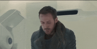 Reaction GIF