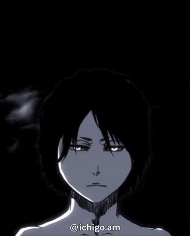 Bleach GIF