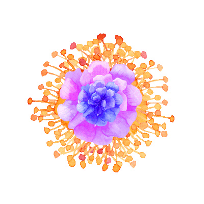 Flowers Flores Sticker by JK Shopping DF