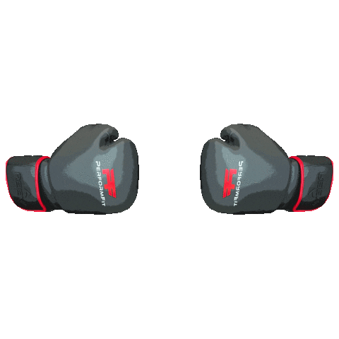 Crossfight Sticker by Performfit