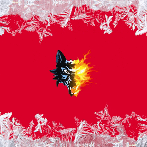 BruleursDeLoups GIF