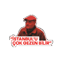 Istanbul Sticker by Gain
