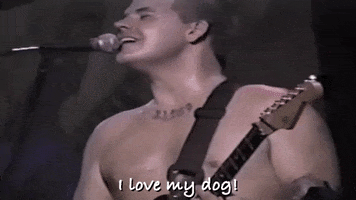 I Love My Dog GIF by Sublime