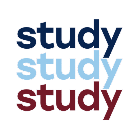 Text Studying Sticker by STUMiami