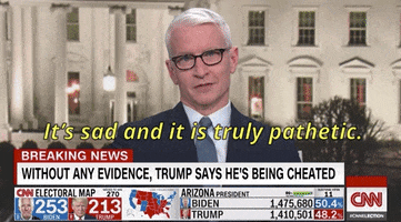 Election 2020 GIF by GIPHY News