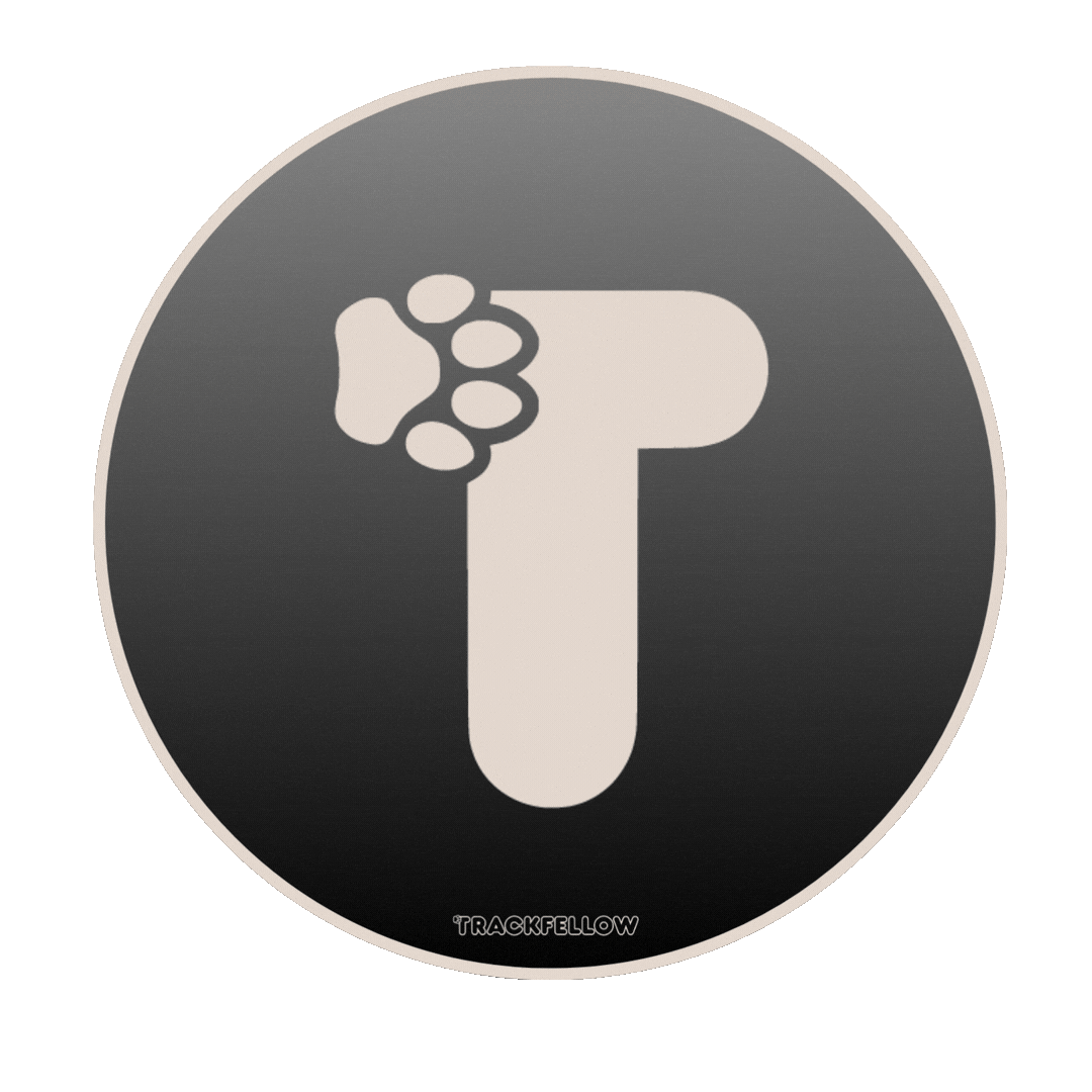 Vibes 犬 Sticker by Trackfellow