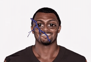 Pittsburgh Steelers Nfl GIF