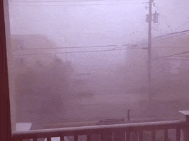 Ds106 GIF