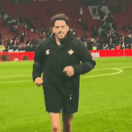 Real Betis Fornals GIF