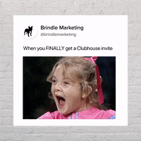 GIF by Brindle Marketing