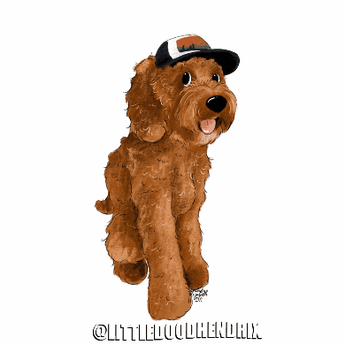 Littledoodhendrix doodle happydog goldendoodle labradoodle GIF
