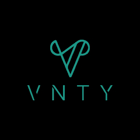 vnty GIF