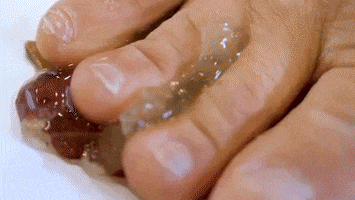 Women GIF