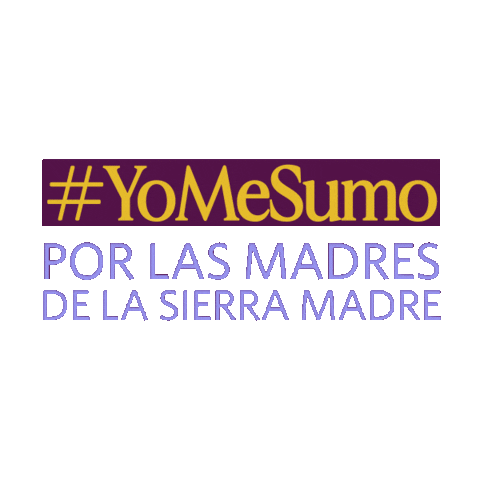 Compañeros En Salud Sticker