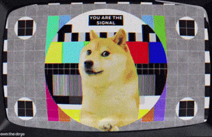 Shiba Inu Tech GIF by Own The Doge