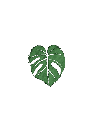 Plants Monstera Sticker