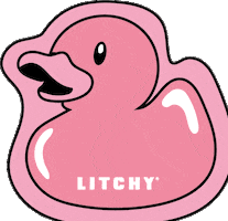 GIF by Litchy