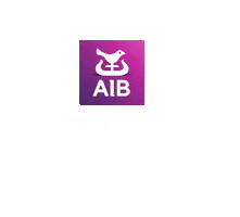 Rte Home Of The Year Sticker by AIB