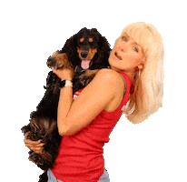 Dog Puppy Sticker by BB RADIO