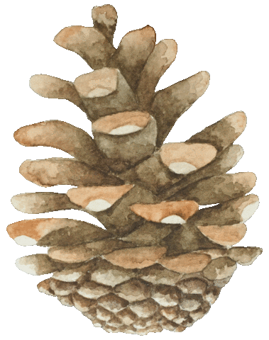 Alpine Tones Illustration Sticker