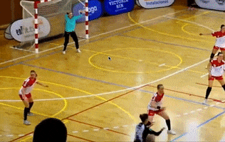 Handball Ehf GIF by Club Balonmano Femenino Málaga Costa del Sol