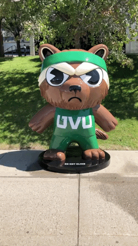 Go Green Man GIF by Utah Valley University