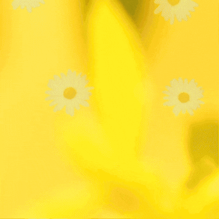 Blooming Daisy Flower GIF by TeaCosyFolk