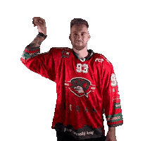 HC ORLI ZNOJMO Sticker