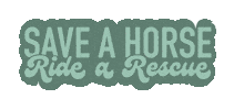 Save A Horse Sticker
