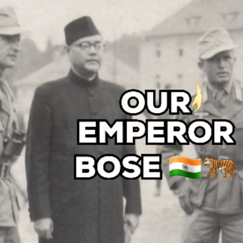 Independence Day India GIF