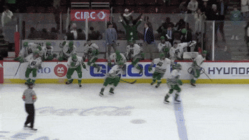 State Champs Celebration GIF by NTHS
