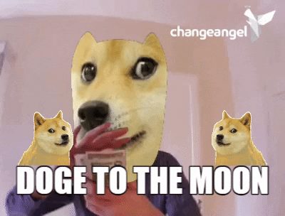 doge gif space