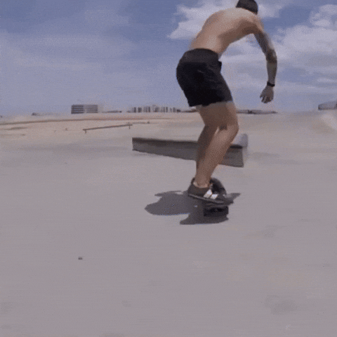 Skateboarding Ollie GIF by Holy Death
