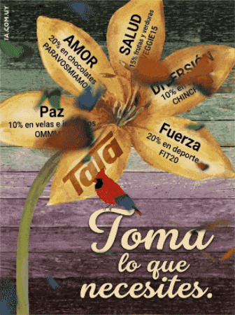 GIF by Ta-Ta Supermercados