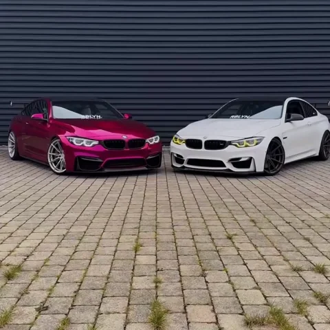 Race Cars GIF