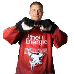 Hockey Nhl Sticker by Koelner Haie