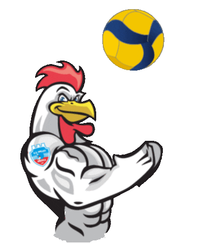 volleymodica Sticker