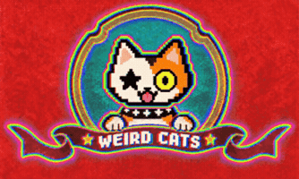 Cat Stay Weird GIF by Weird Cats