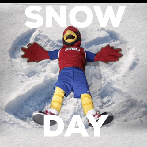 Snow Day Coop GIF by Saginaw Valley State University