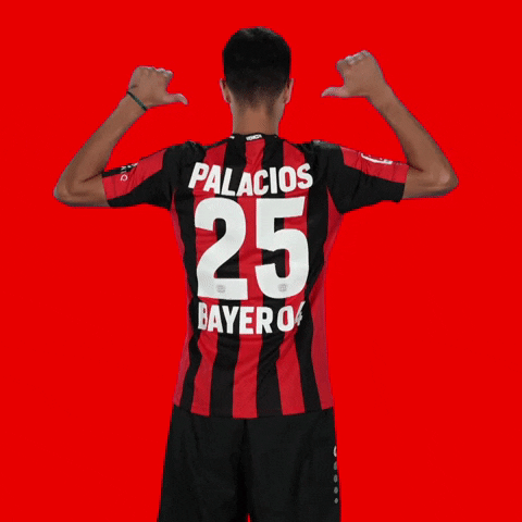 Proud Number 25 GIF by Bayer 04 Leverkusen