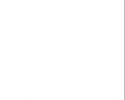 Happy New Year Dragon GIF by Tutimon