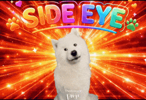 Eye Believe GIF