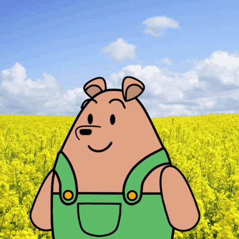 Pohyblivý sváteční gif s kresleným medvídkem, na jehož nos sedá modrý motýlek, na pozadí pole se žlutými květy. 