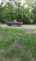 Truck GIF by ViralHog