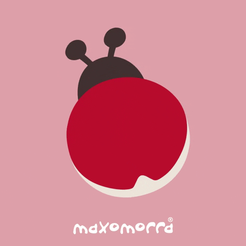 Ladybug GIF by Maxomorra