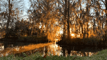200.gif?cid=fc005b088d0030950cbbe507f6985b1ab9e338b6f6f1e90f&rid=200.gif&ct=g