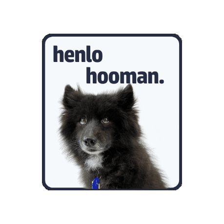 Pet With It Sticker